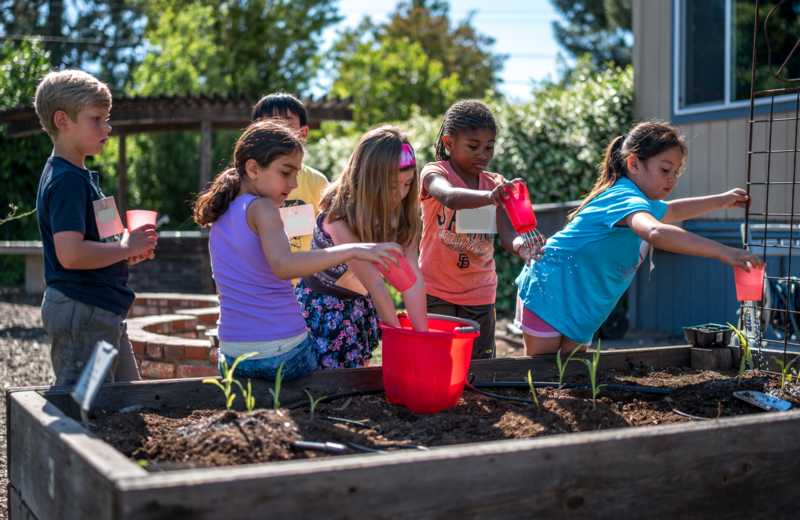 Share Your Love of Nature with Kids!